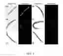 Fig. 06 - Dinitrosyl iron complex, pharmaceutical composition comprising the same, composite material comprising the same, and uses thereof