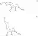 Fig. 06 - Sugar derivative gelators