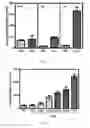 Fig. 06 - Syntheses, activities, and methods of use of dihydronicotinamide riboside derivatives