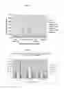 Fig. 07 - Immunogenic WT-1 peptides and methods of use thereof