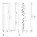 Fig. 08 - Mutant lysenin pores