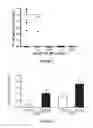 Fig. 02 - Peptide Compounds and Methods of Production and Use Thereof