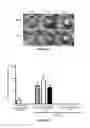 Fig. 03 - Peptide Compounds and Methods of Production and Use Thereof