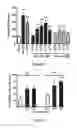 Fig. 06 - Peptide Compounds and Methods of Production and Use Thereof