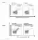 Fig. 20 - Peptides and combination of peptides for use in immunotherapy against various tumors