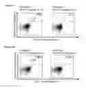 Fig. 57 - Peptides and combination of peptides for use in immunotherapy against various tumors