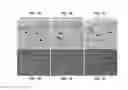 Fig. 02 - VEGF-SPECIFIC ANTAGONISTS FOR ADJUVANT AND NEOADJUVANT THERAPY AND THE TREATMENT OF EARLY STAGE TUMORS