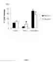 Fig. 02 - Method for decreasing depression-like behavior with connective tissue growth factor (CTGF) inhibitor