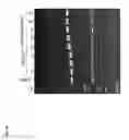 Fig. 04 - Bone-targeting antibodies