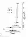 Fig. 37 - Bone-targeting antibodies