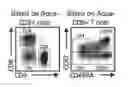 Fig. 01 - METHODS FOR ENHANCING AN IMMUNE RESPONSE