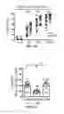 Fig. 07 - METHODS FOR ENHANCING AN IMMUNE RESPONSE