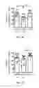 Fig. 08 - METHODS FOR ENHANCING AN IMMUNE RESPONSE