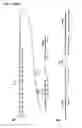 Fig. 33 - RECOMBINANT ANTIBODY MOLECULE AND ITS USE FOR TARGET CELL RESTRICTED T CELL ACTIVATION