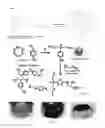 Fig. 06 - Copolymerization of elemental sulfur to synthesize high sulfur content polymeric materials