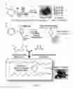 Fig. 17 - Copolymerization of elemental sulfur to synthesize high sulfur content polymeric materials
