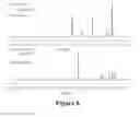 Fig. 07 - Polymers and uses thereof