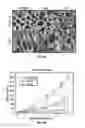 Fig. 07 - Surface modification of polymer foams using plasma