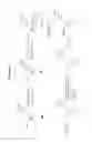 Fig. 49 - Nucleotide analogues
