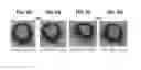 Fig. 09 - Thermally Insulating Coatings for Polymer Substrates