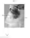 Fig. 07 - Multiphase waterborne coatings and methods for fabricating the same