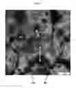 Fig. 08 - Multiphase waterborne coatings and methods for fabricating the same