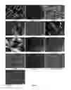 Fig. 06 - Fatty acid ester-based wax compositions and methods of making thereof