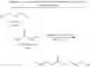 Fig. 49 - Fatty acid ester-based wax compositions and methods of making thereof