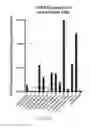 Fig. 09 - Ex vivo proliferation of epithelial cells