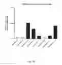 Fig. 08 - Ex vivo proliferation of epithelial cells
