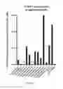 Fig. 09 - Ex vivo proliferation of epithelial cells