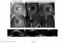 Fig. 08 - METHOD FOR FACILITATING FUNCTIONS AND CHARACTERISTICS OF CORNEAL ENDOTHELIAL CELLS