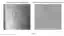 Fig. 09 - METHOD FOR FACILITATING FUNCTIONS AND CHARACTERISTICS OF CORNEAL ENDOTHELIAL CELLS