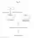 Fig. 05 - Host regulatory factor that enhances replication and/or propagation of vaccinia virus