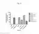 Fig. 06 - Host regulatory factor that enhances replication and/or propagation of vaccinia virus