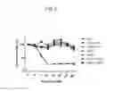 Fig. 07 - Host regulatory factor that enhances replication and/or propagation of vaccinia virus