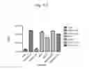 Fig. 09 - Host regulatory factor that enhances replication and/or propagation of vaccinia virus
