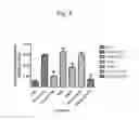 Fig. 10 - Host regulatory factor that enhances replication and/or propagation of vaccinia virus