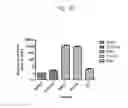 Fig. 12 - Host regulatory factor that enhances replication and/or propagation of vaccinia virus