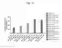 Fig. 18 - Host regulatory factor that enhances replication and/or propagation of vaccinia virus