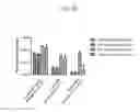 Fig. 29 - Host regulatory factor that enhances replication and/or propagation of vaccinia virus