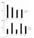 Fig. 08 - Cell penetrating peptide, conjugate comprising same, and composition comprising conjugate