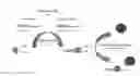 Fig. 01 - Allele-specific capture of nucleic acids