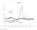Fig. 05 - Allele-specific capture of nucleic acids