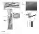 Fig. 06 - TOOLS AND METHODS USING MIRNA 182, 96 AND/OR 183 FOR TREATING PATHOLOGIES