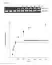 Fig. 35 - Methods and compositions for RNA-directed target DNA modification and for RNA-directed modulation of transcription