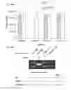 Fig. 49 - Methods and compositions for RNA-directed target DNA modification and for RNA-directed modulation of transcription