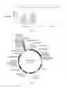 Fig. 03 - Rice mitochondrial sterile gene and application thereof