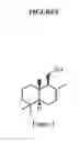 Fig. 02 - Drimenol synthases I