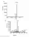 Fig. 07 - Drimenol synthases I